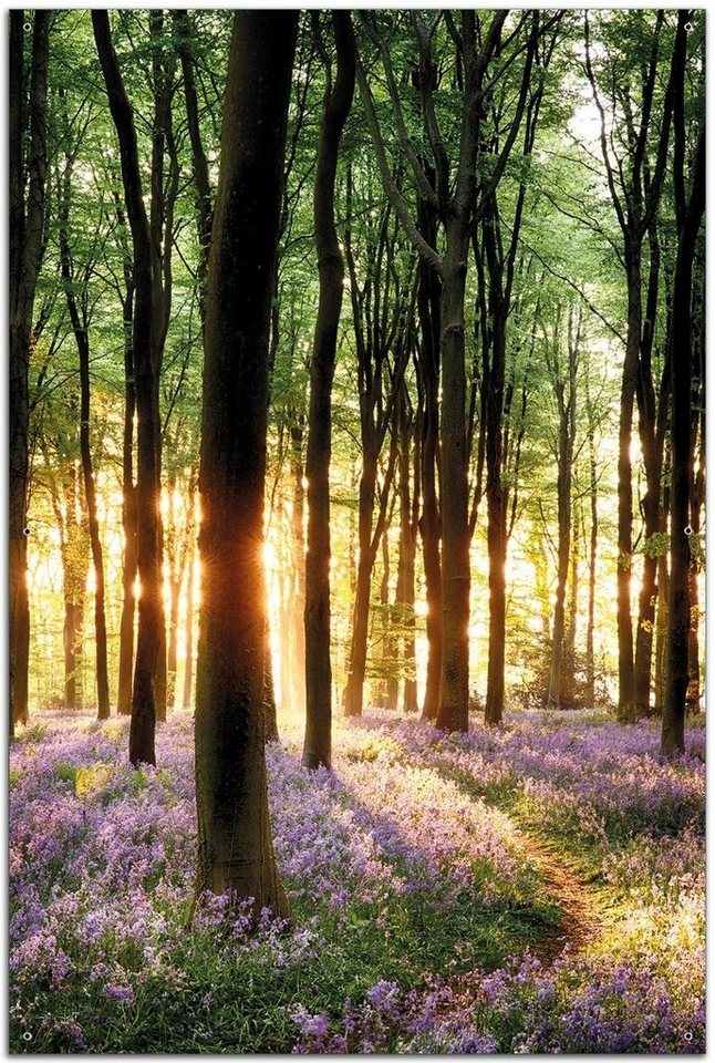 Wallario Sichtschutzzaunmatten Blaue Hasenglöckchen im Wald mit Sonnenstrahlen von Wallario
