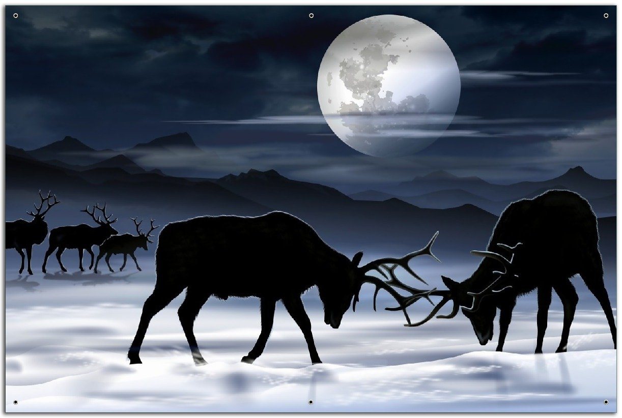 Wallario Sichtschutzzaunmatten Elch im Schnee bei Mondschein - Silhouette am Abend von Wallario