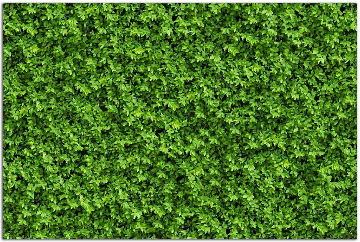 Wallario Sichtschutzzaunmatten Grüne Hecke von Wallario
