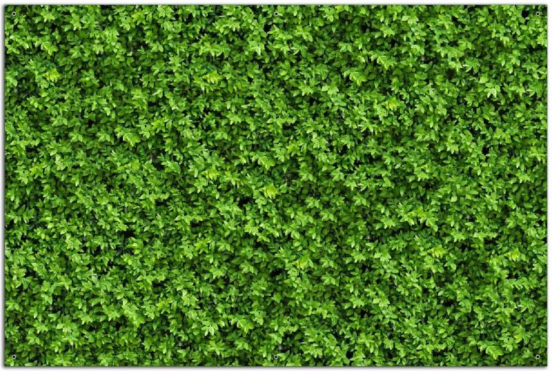 Wallario Sichtschutzzaunmatten Grüne Hecke von Wallario