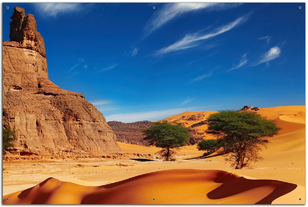 Wallario Sichtschutzzaunmatten In der Wüste Sahara von Wallario