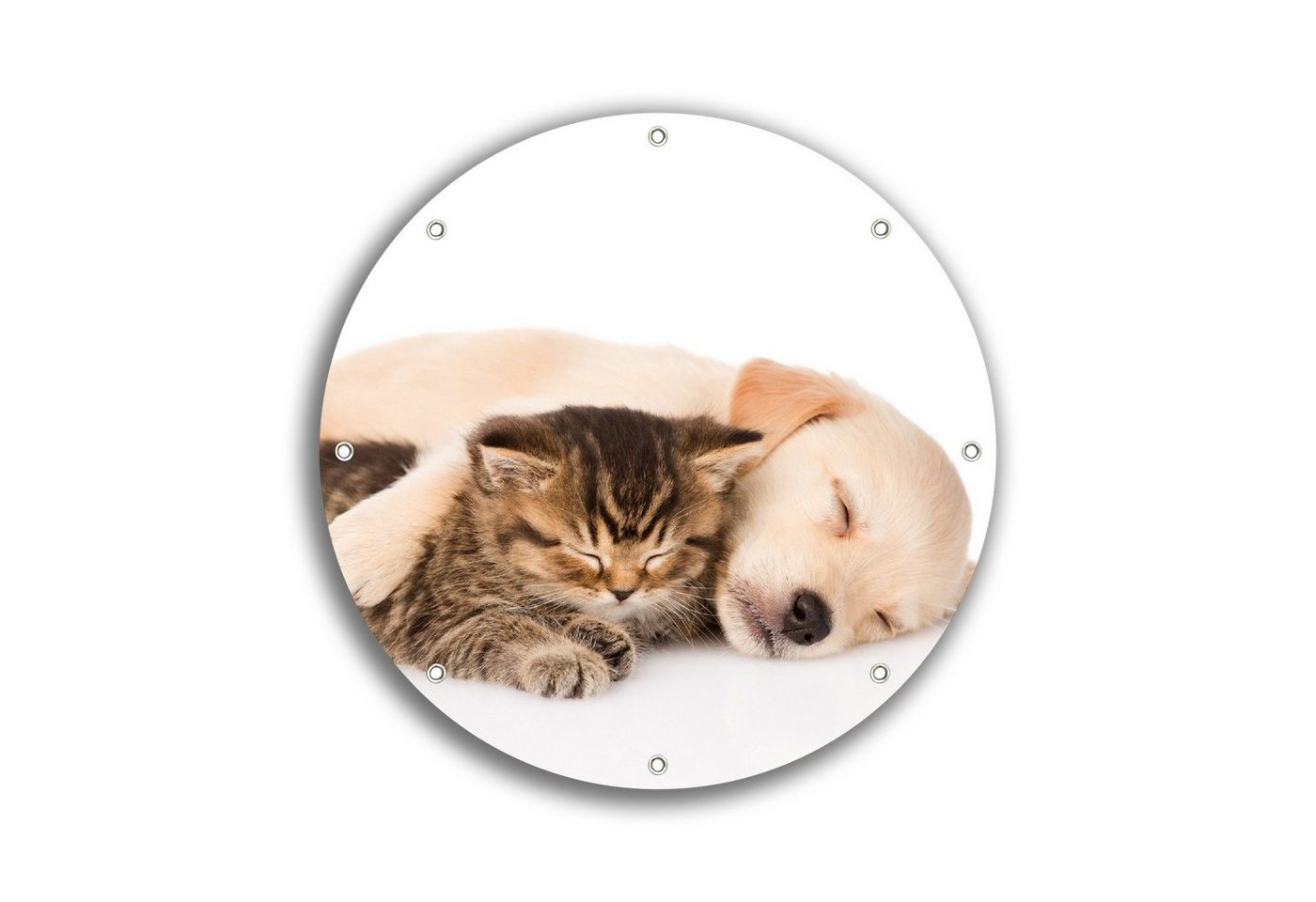 Wallario Sichtschutzzaunmatten Katze und Hund in Harmonie - Kuschelnde Tiere, rund von Wallario