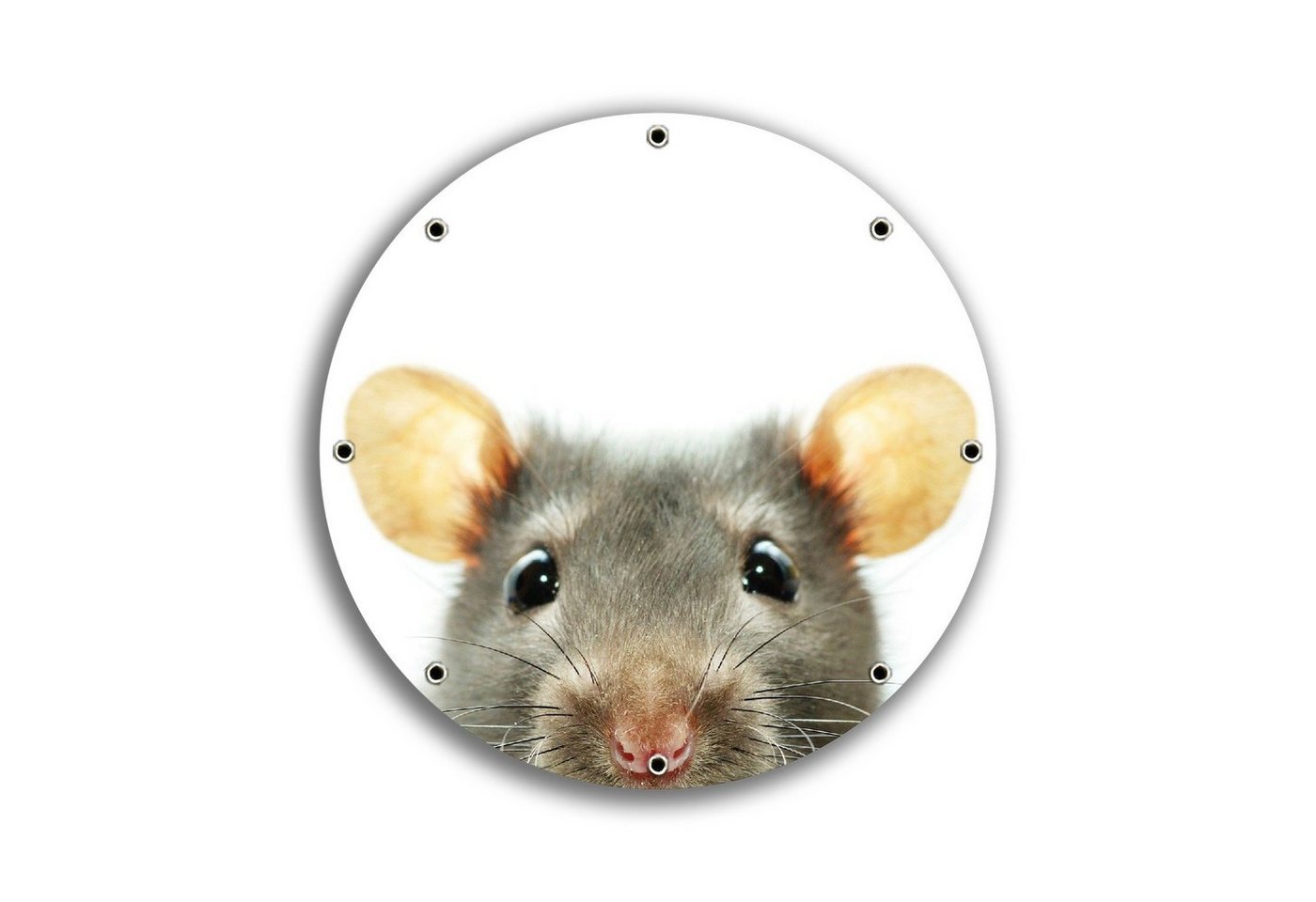 Wallario Sichtschutzzaunmatten Maus am Tellerrand, rund von Wallario
