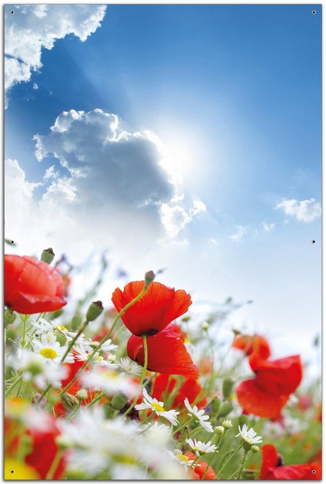 Wallario Sichtschutzzaunmatten Mohnblumen unter blauem Himmel von Wallario