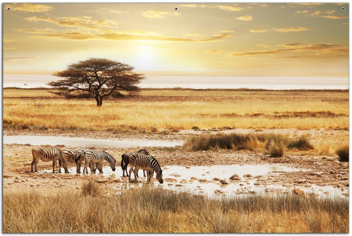 Wallario Sichtschutzzaunmatten Safari in Afrika eine Herde Zebras am Wasser von Wallario