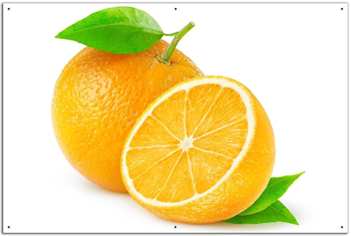 Wallario Sichtschutzzaunmatten Saftige Orangen vor weißem Hintergrund von Wallario
