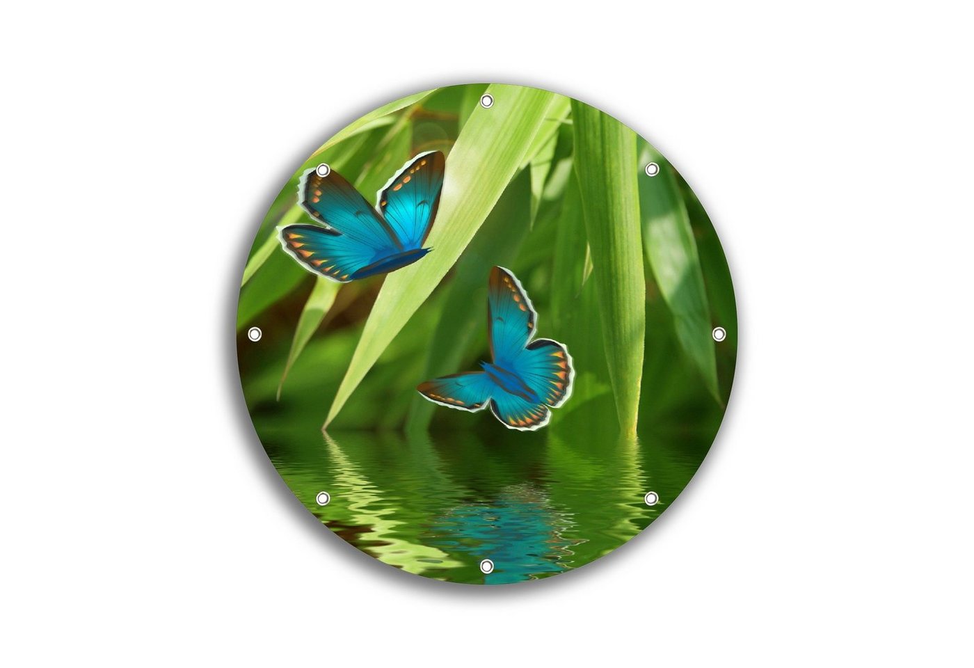 Wallario Sichtschutzzaunmatten Schmetterlinge in Reflektion, rund von Wallario