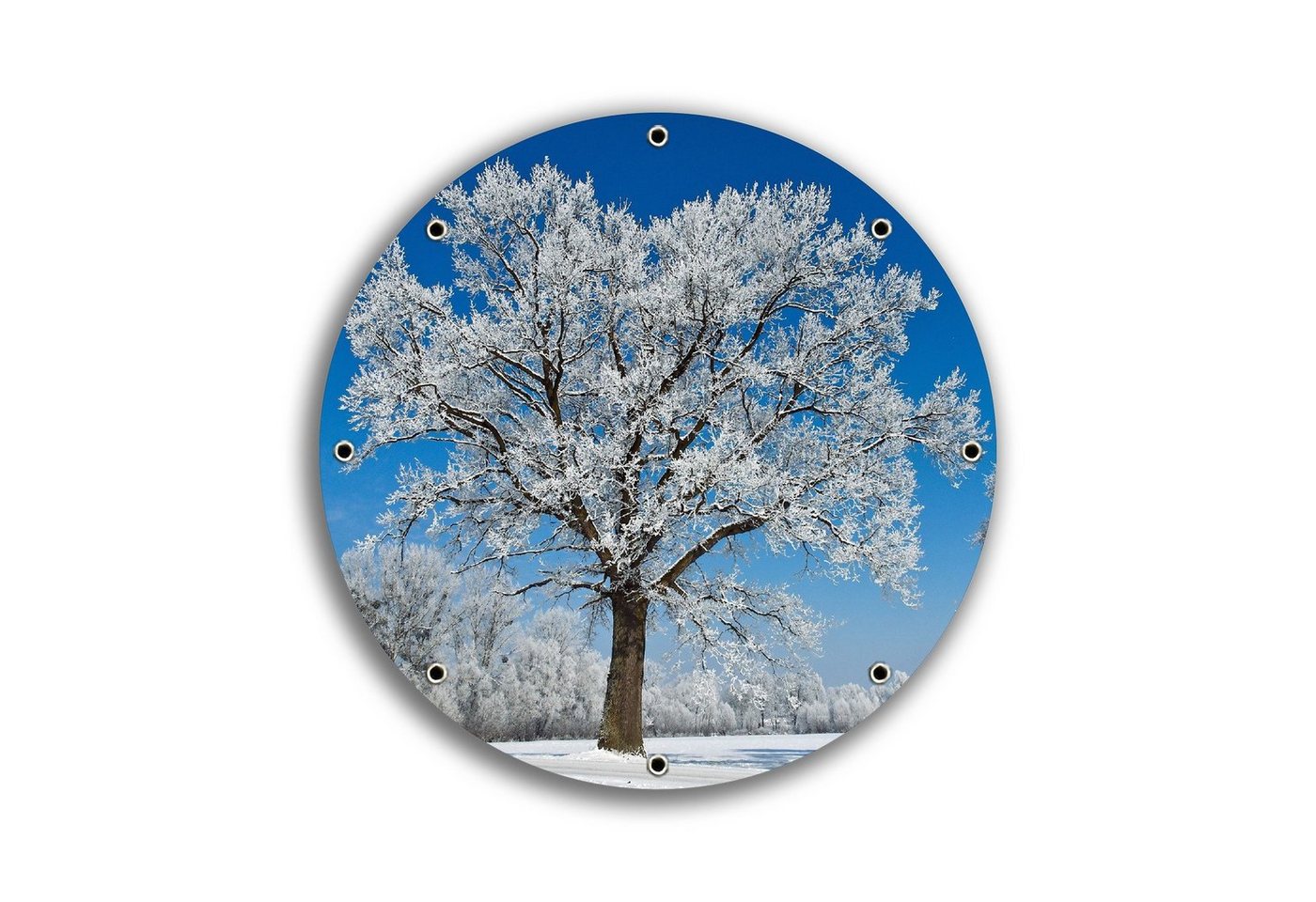 Wallario Sichtschutzzaunmatten Schneebedeckter Baum mit blauen Himmel, rund von Wallario