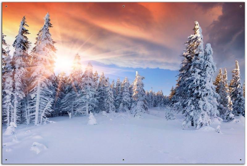 Wallario Sichtschutzzaunmatten Sonnenaufgang über einen Winterwald von Wallario