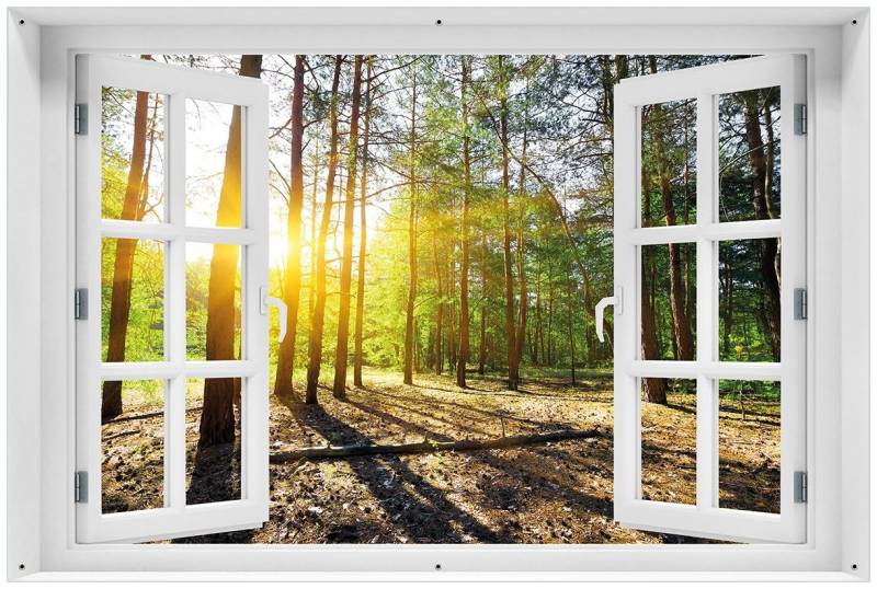 Wallario Sichtschutzzaunmatten Sonnenstrahlen tief hinter dem Wald, mit Fenster-Illusion von Wallario