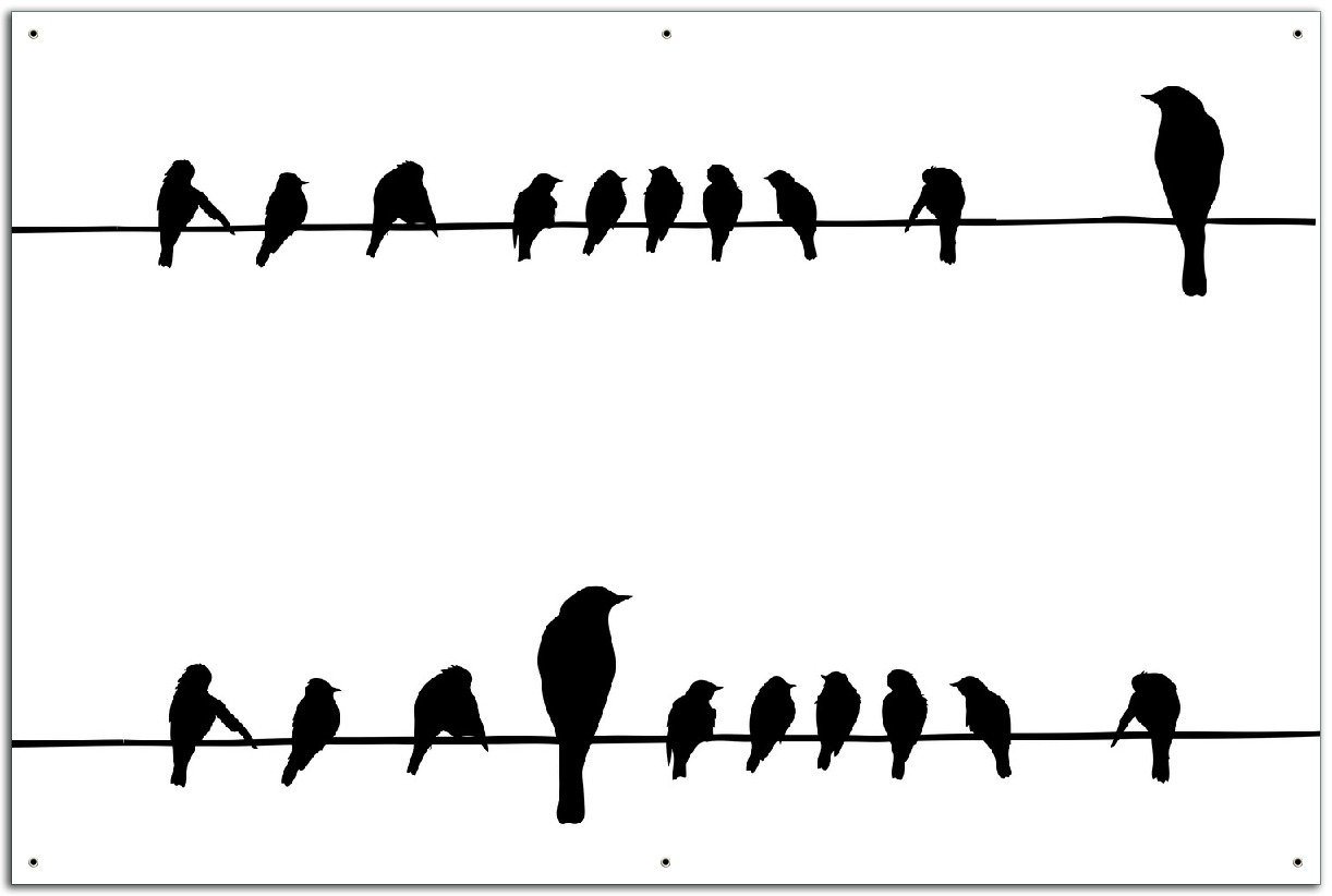 Wallario Sichtschutzzaunmatten Vögel auf einer Stromleitung von Wallario