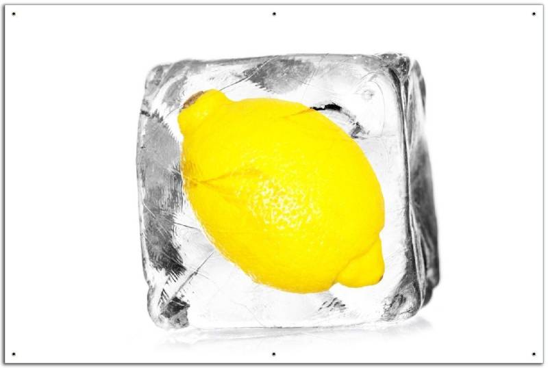 Wallario Sichtschutzzaunmatten Zitrone in Eiswürfel - Eiskaltes Obst von Wallario