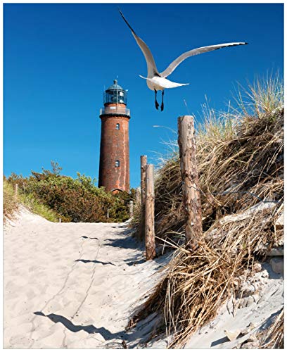 Wallario Sticker/Aufkleber für Kühlschrank/Geschirrspüler/Küchenschränke, Selbstklebende Folie - 60 x 80 cm, Motiv: Möwe am Strand mit Leuchtturm von Wallario