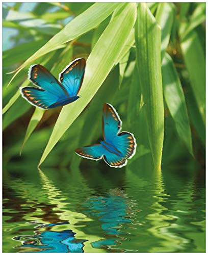 Wallario Sticker/Aufkleber für Kühlschrank/Geschirrspüler/Küchenschränke, Selbstklebende Folie - 60 x 80 cm, Motiv: Schmetterlinge in Reflektion von Wallario