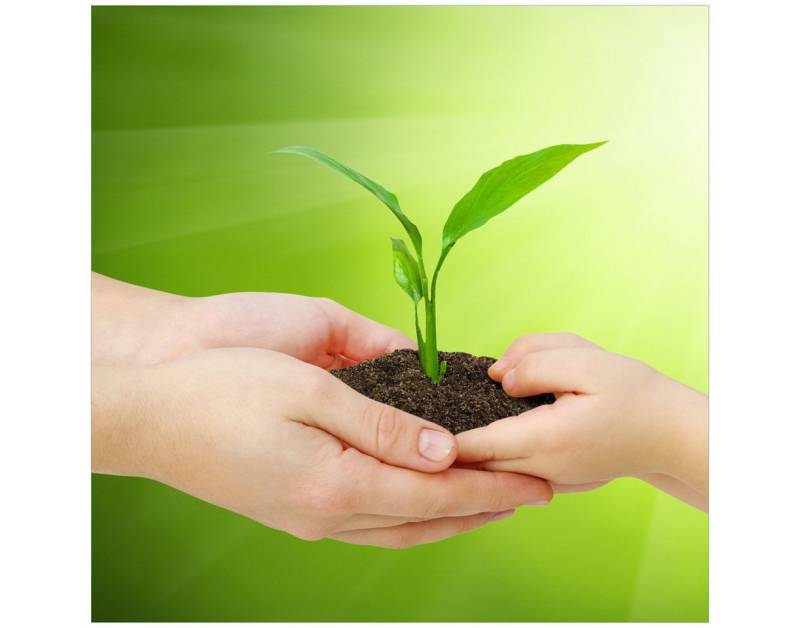 Wallario Tischplatte Eine zarte Pflanze - von Hand zu Hand (1 St), für Ikea Lack Tisch geeignet von Wallario