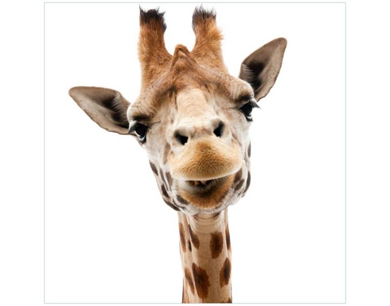 Wallario Tischplatte Giraffenkopf (1 St), für Ikea Lack Tisch geeignet von Wallario