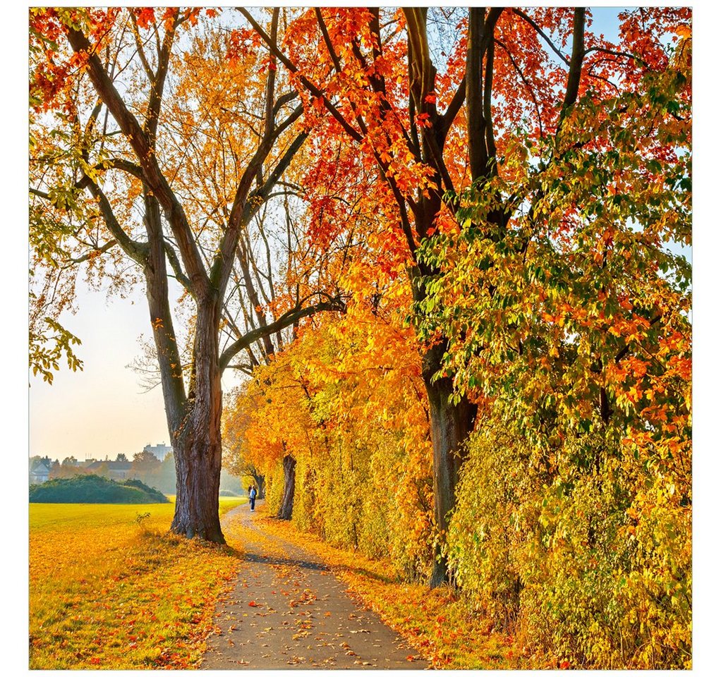 Wallario Tischplatte Herbstlicher Waldweg mit buntem Laub (1 St), für Ikea Lack Tisch geeignet von Wallario