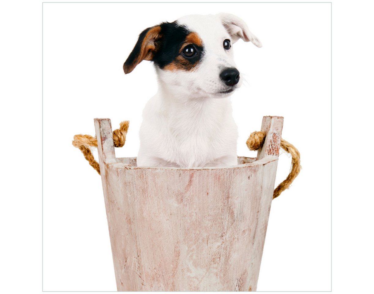 Wallario Tischplatte Hunde-Welpe Jack Russel Terrier in einem Holzeimer (1 St), für Ikea Lack Tisch geeignet von Wallario