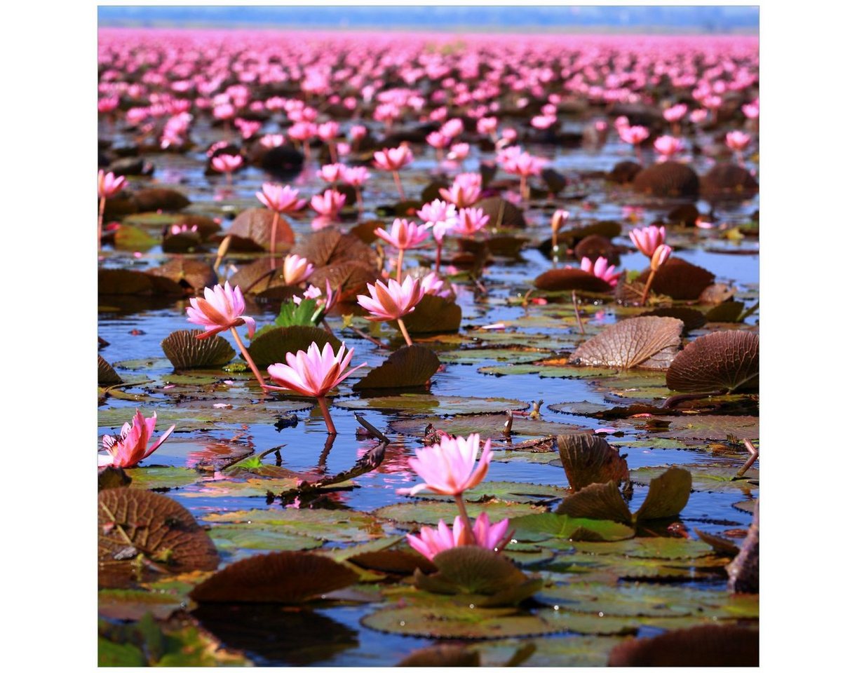 Wallario Tischplatte Seerosenlandschaft mit rosa Blüten (1 St), für Ikea Lack Tisch geeignet von Wallario