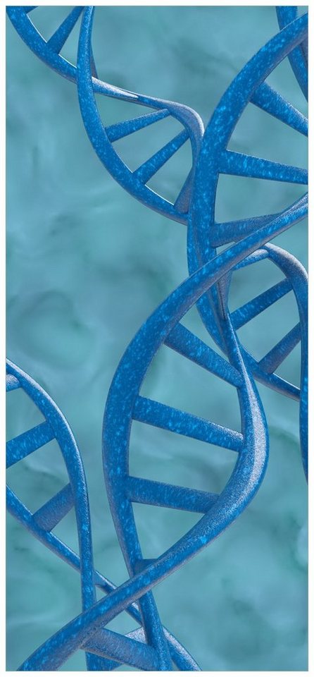 Wallario Türtapete DNA-Strang in blau auf türkisem Hintergrund, glatt, ohne Struktur von Wallario