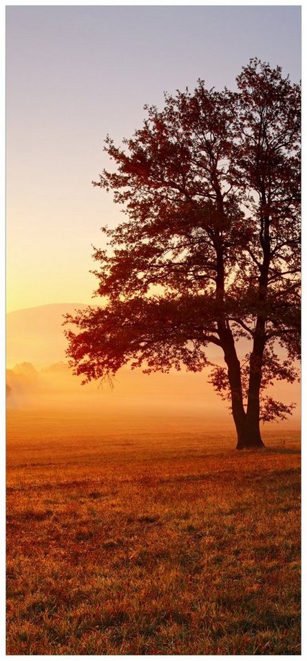 Wallario Türtapete Sonnenaufgang über der Wiese mit Nebel, glatt, ohne Struktur von Wallario