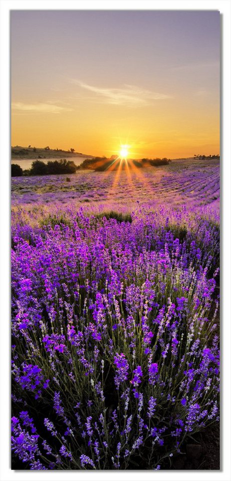 Wallario Türtapete Sonnenuntergang über dem Lavendel, glatt, ohne Struktur von Wallario