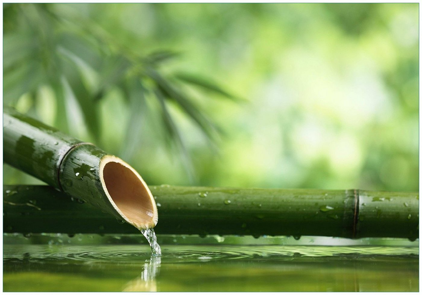 Wallario Vliestapete Bambusquelle Bambusrohr mit Wasser, Seidenmatte Oberfläche, hochwertiger Digitaldruck, in verschiedenen Größen erhältlich von Wallario