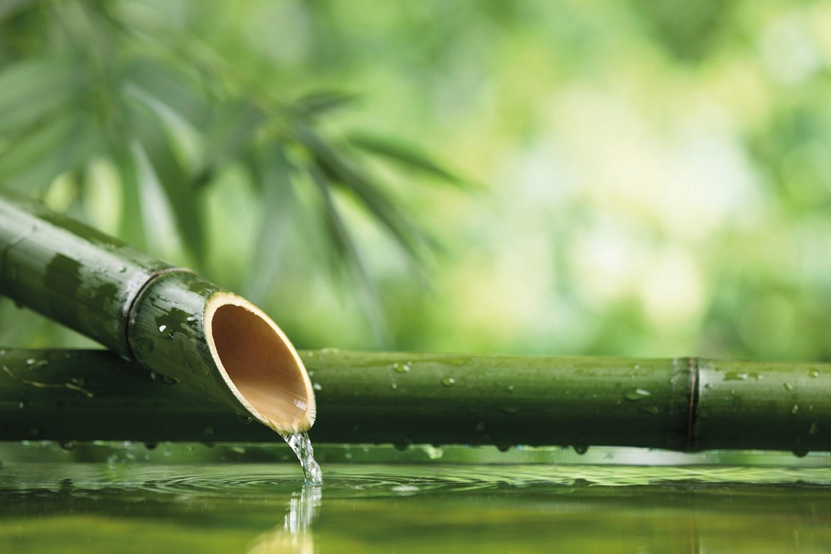 Wallario Vliestapete Bambusquelle Bambusrohr mit Wasser, seidenmatte Oberfläche von Wallario