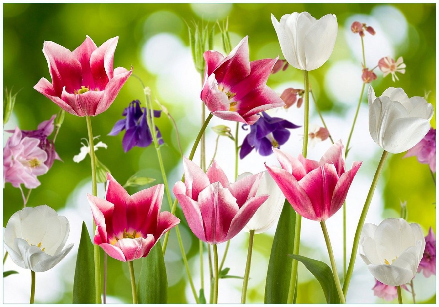 Wallario Vliestapete Blühende Blumen im Frühling in pink und weiß, Seidenmatte Oberfläche, hochwertiger Digitaldruck, in verschiedenen Größen erhältlich von Wallario