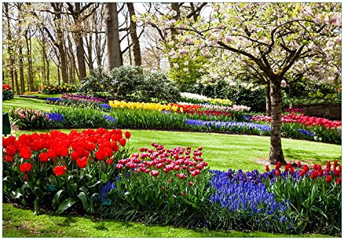 Wallario Vliestapete Fototapete Bunte Blumen und Kirsch-Baum im Park blühen im Frühling - Wandtapete Größe: 200 x 140 cm von Wallario