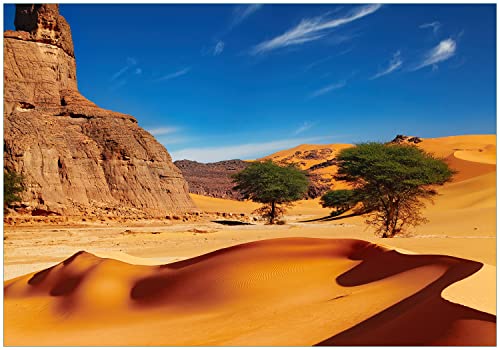 Wallario Vliestapete Fototapete In der Wüste Sahara - Wandtapete Größe: 200 x 140 cm Wallario Vliestapete Fototapete In der Wüste Sahara - Wandtapete Größe: 200 x 140 cm von Wallario