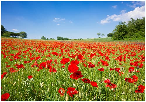 Wallario Vliestapete Fototapete Mohnblumenfeld- rote Blumen unter blauem Himmel - Wandtapete Größe: 300 x 210 cm von Wallario