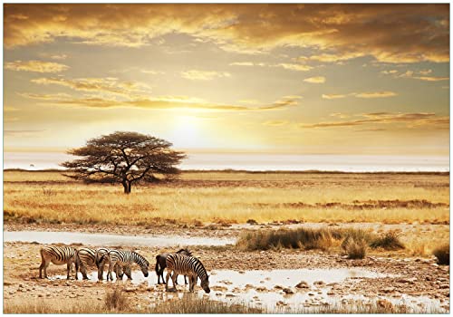 Wallario Vliestapete Fototapete Safari in Afrika eine Herde Zebras am Wasser - Wandtapete Größe: 200 x 140 cm von Wallario