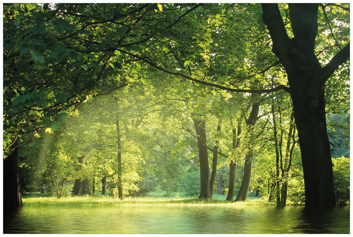 Wallario Vliestapete Idyllischer See im Wald bei Sonnenschein, seidenmatte Oberfläche von Wallario