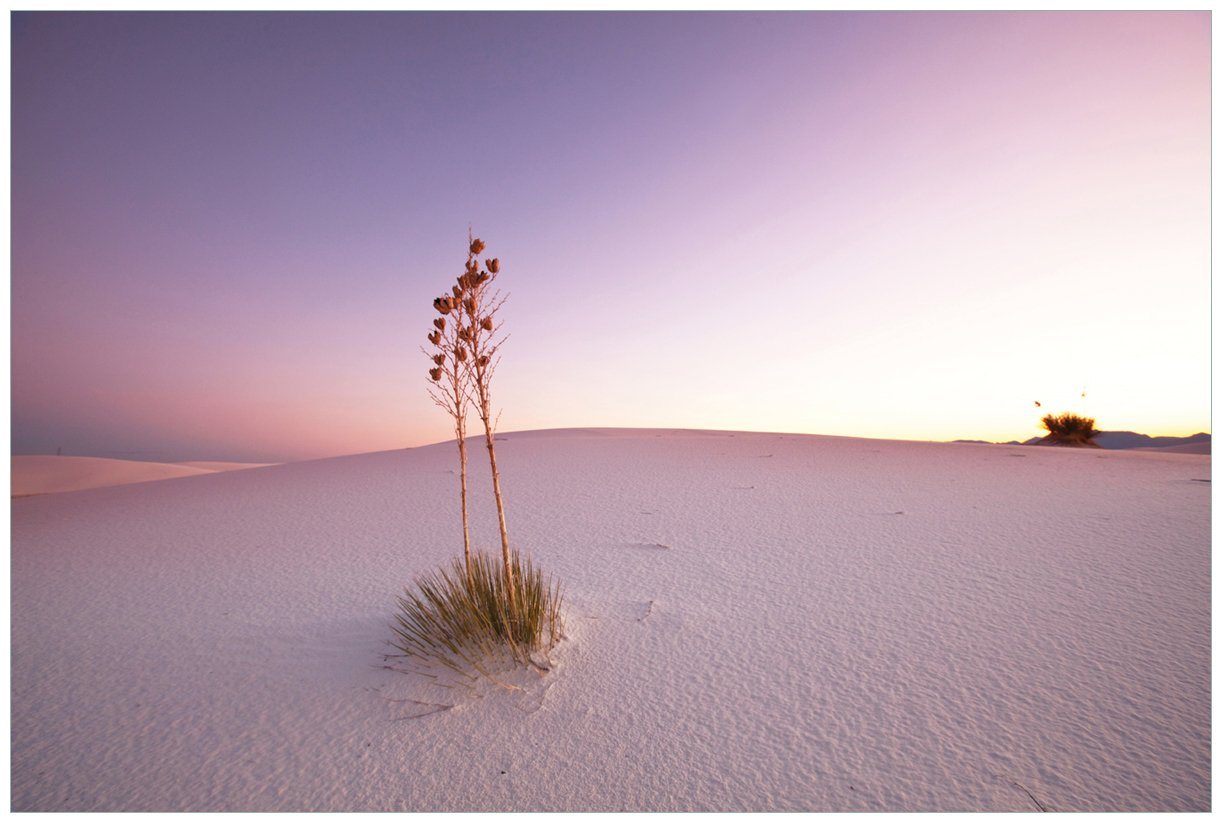 Wallario Vliestapete Kleine Oase in der Wüste, seidenmatte Oberfläche von Wallario