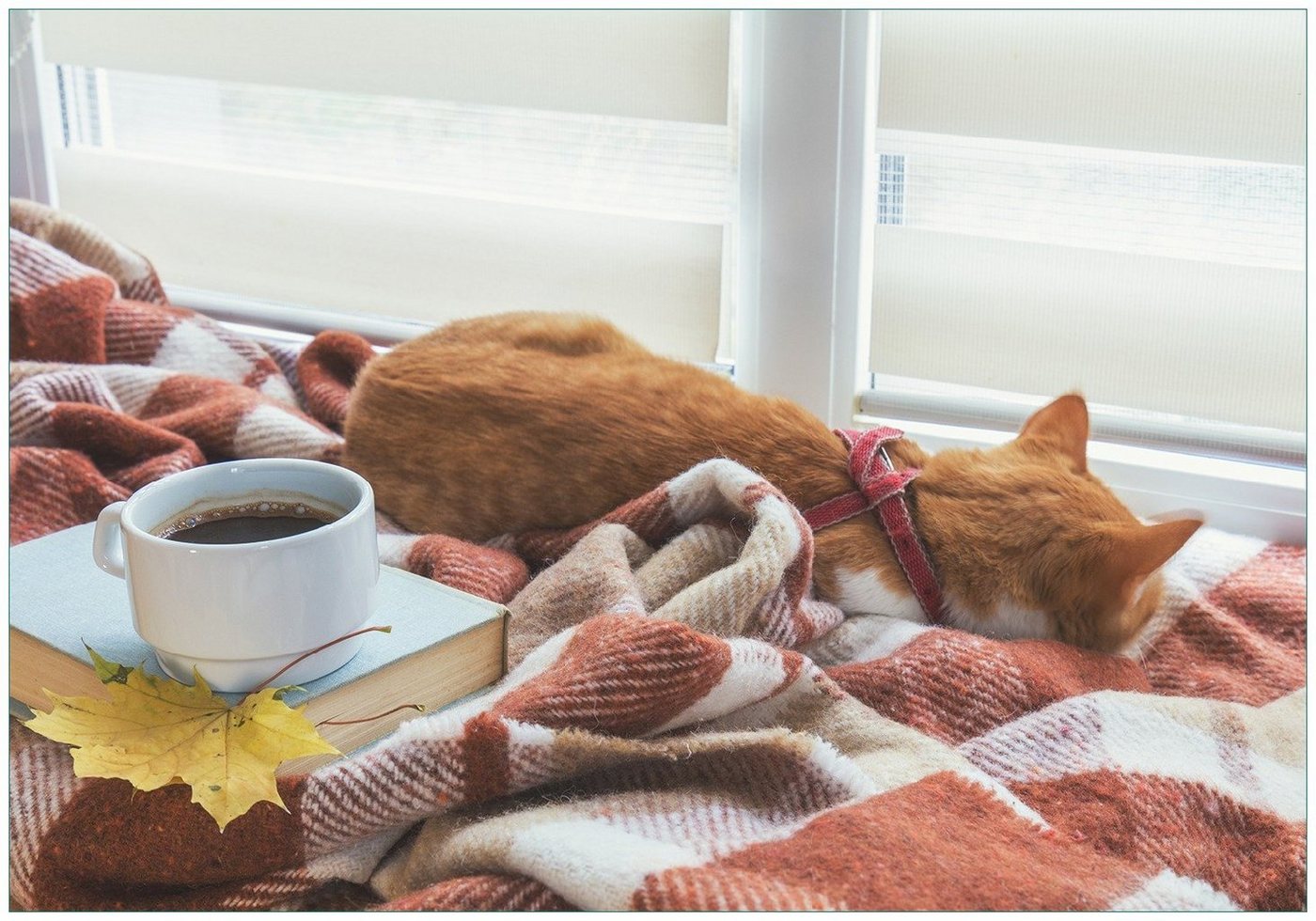 Wallario Vliestapete Schlafende Katze beim Kaffeekränzchen, Seidenmatte Oberfläche, hochwertiger Digitaldruck, in verschiedenen Größen erhältlich von Wallario