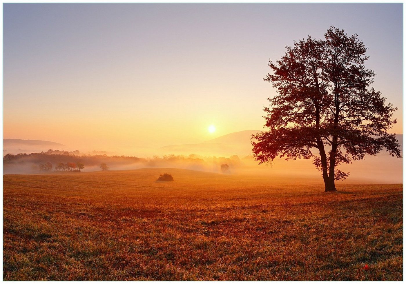 Wallario Vliestapete Sonnenaufgang über der Wiese mit Nebel, Seidenmatte Oberfläche, hochwertiger Digitaldruck, in verschiedenen Größen erhältlich von Wallario