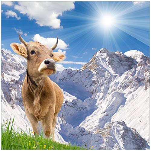 Wallario Wandbild aus Acryl, 50 x 50 cm, freischwebende Optik - Kuh im Sonnenschein in den Alpen von Wallario