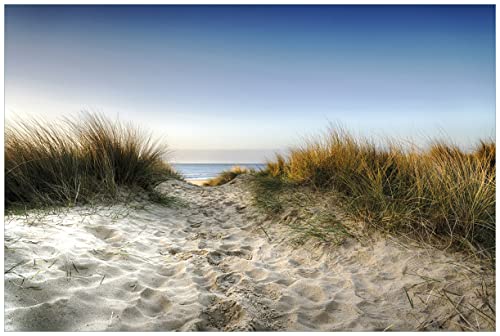 Wallario Wandbild aus Acryl, 60 x 90 cm, freischwebende Optik - Weg durch die Dünen zum Strand am Meer von Wallario