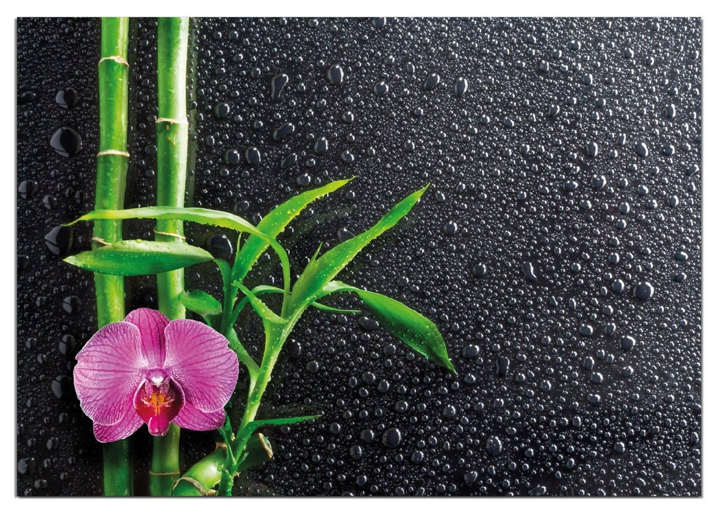Wallario Wandfolie, Bambus und pinke Orchidee auf schwarzem Glas mit Regentropfen, wasserresistent, geeignet für Bad und Dusche Wallario Wandfolie, Bambus und pinke Orchidee auf schwarzem Glas mit Regentropfen, wasserresistent, geeignet für Bad und Dusche von Wallario
