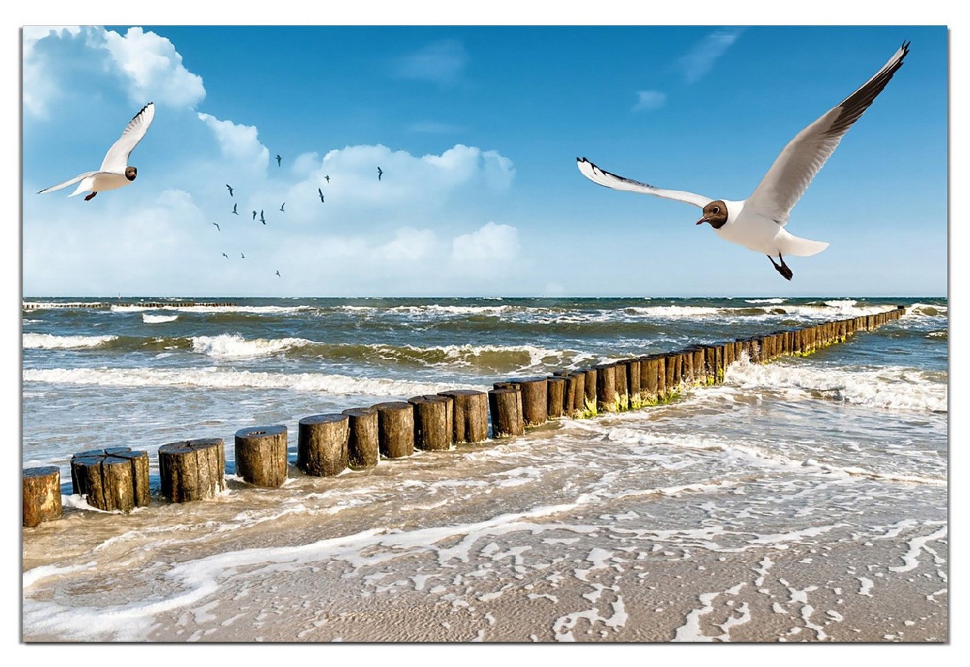 Wallario Wandfolie, Fliegende Möwe am Strand, wasserresistent, geeignet für Bad und Dusche Wallario Wandfolie, Fliegende Möwe am Strand, wasserresistent, geeignet für Bad und Dusche von Wallario