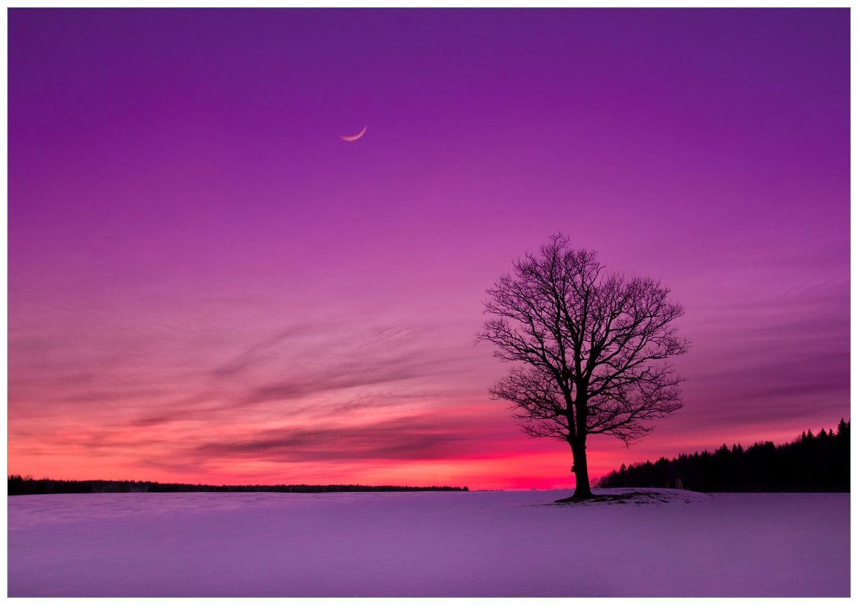 Wallario Wandfolie, Mond und Baum am Abend bei Schnee, in verschiedenen Ausführungen von Wallario