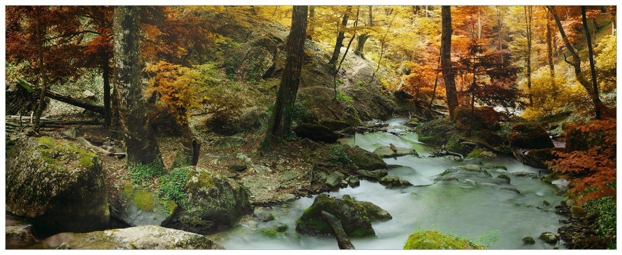 Wallario Wandfolie, Wasserfall mit moosbedeckten Steinen im Herbstwald, in verschiedenen Ausführungen von Wallario