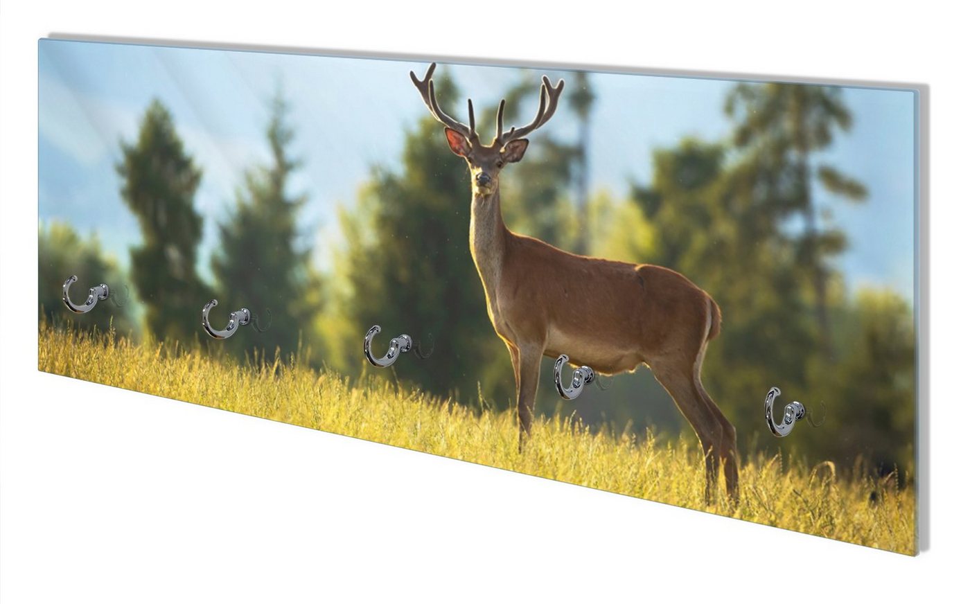 Wallario Wandgarderobe Junger Hirsch auf einer Wiese (1-teilig, inkl. Haken und Befestigungsset), 80x30cm, aus ESG-Sicherheitsglas von Wallario