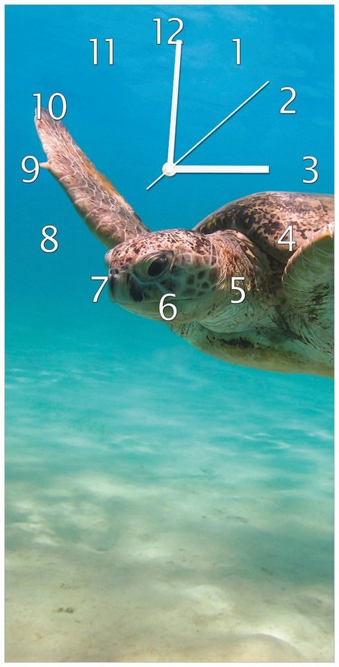 Wallario Wanduhr Meeresschildkröte (Uhr aus Acryl) von Wallario