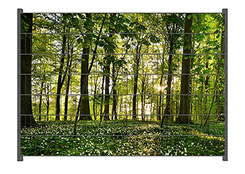 Wallario Zaun Sichtschutz Windschutz für EIN- und Doppelstabmattenzäune in der Größe Breite 2,00m x Höhe 1,40m, Motiv: Waldanemonen und Sonnenstrahlen im Wald von Wallario