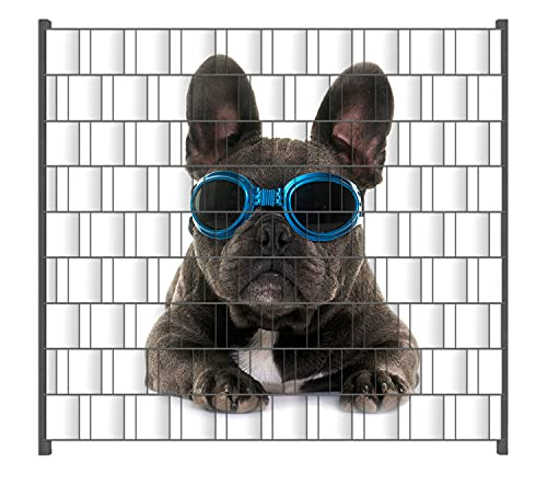Wallario Zaun Sichtschutz Windschutz für EIN- und Doppelstabmattenzäune in der Größe Breite 2,00m x Höhe 1,80m, Motiv: Cooler Hund mit Sonnenbrille in blau - Französische Bulldogge von Wallario