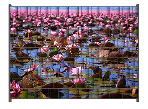 Wallario Zaun Sichtschutz Windschutz für EIN- und Doppelstabmattenzäune in der Größe Breite 2,50m x Höhe 1,80m, Motiv: Seerosenlandschaft mit rosa Blüten von Wallario