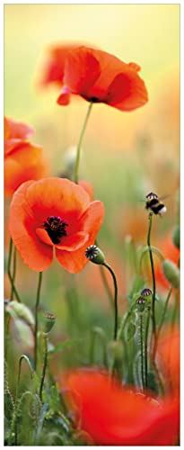 Wallario selbstklebendes Poster - Mohnblumenblüten, Aufkleber in Premiumqualität, Klebefolie Größe: 80 x 200 cm XXL-Poster Wallario selbstklebendes Poster - Mohnblumenblüten, Aufkleber in Premiumqualität, Klebefolie Größe: 80 x 200 cm XXL-Poster von Wallario