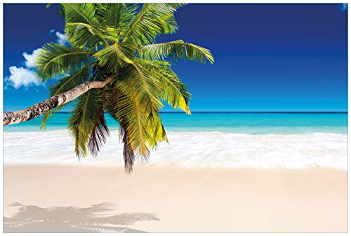 Wallario selbstklebendes Poster - Südseestrand in der Karibik mit Palme, Aufkleber in Premiumqualität, Klebefolie Größe: 61 x 91,5 cm (Maxiposter) von Wallario